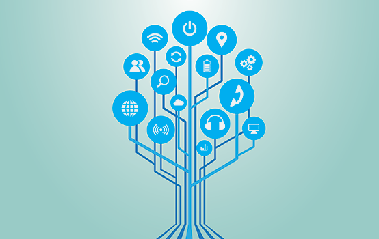 PDK_97_1_Blumenreich_25_Art_554x350