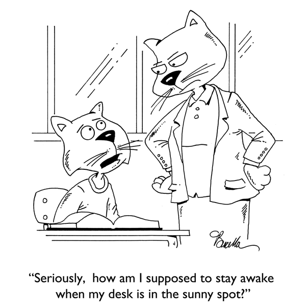A cat teacher is standing over the desk of a cat student. The cat student says, "Seriously, how am I supposed to stay awake when my desk is in the sunny spot?"