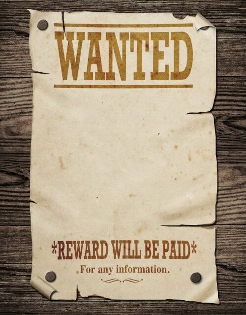 Wanted: American educator