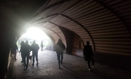 Invisible kids, nice white journalists; favorite pieces from The Grade in 2020