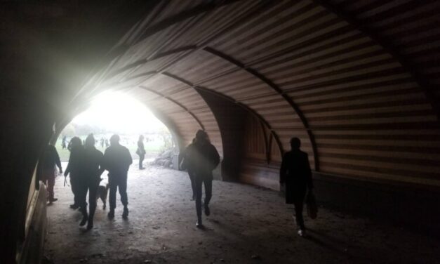 Invisible kids, nice white journalists; favorite pieces from The Grade in 2020