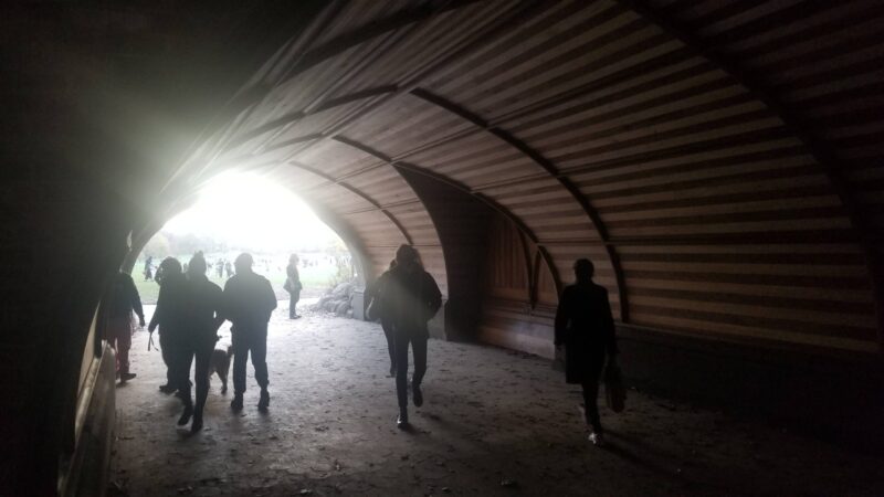 Invisible kids, nice white journalists; favorite pieces from The Grade in 2020