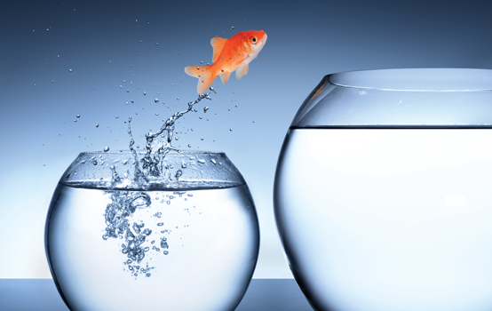 Taking a leap toward community-engaged leadership