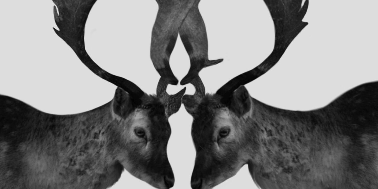 Department chair told she needs to be more “diplomatic”