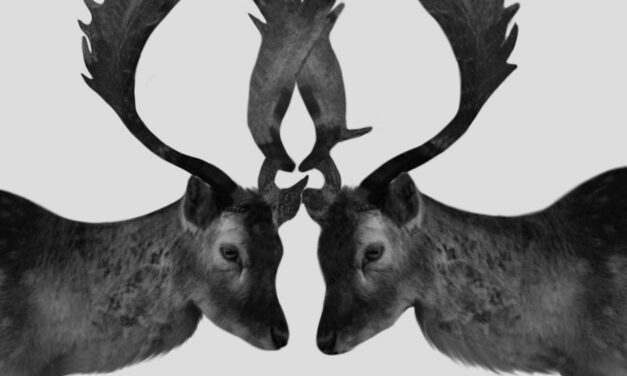 Department chair told she needs to be more “diplomatic”