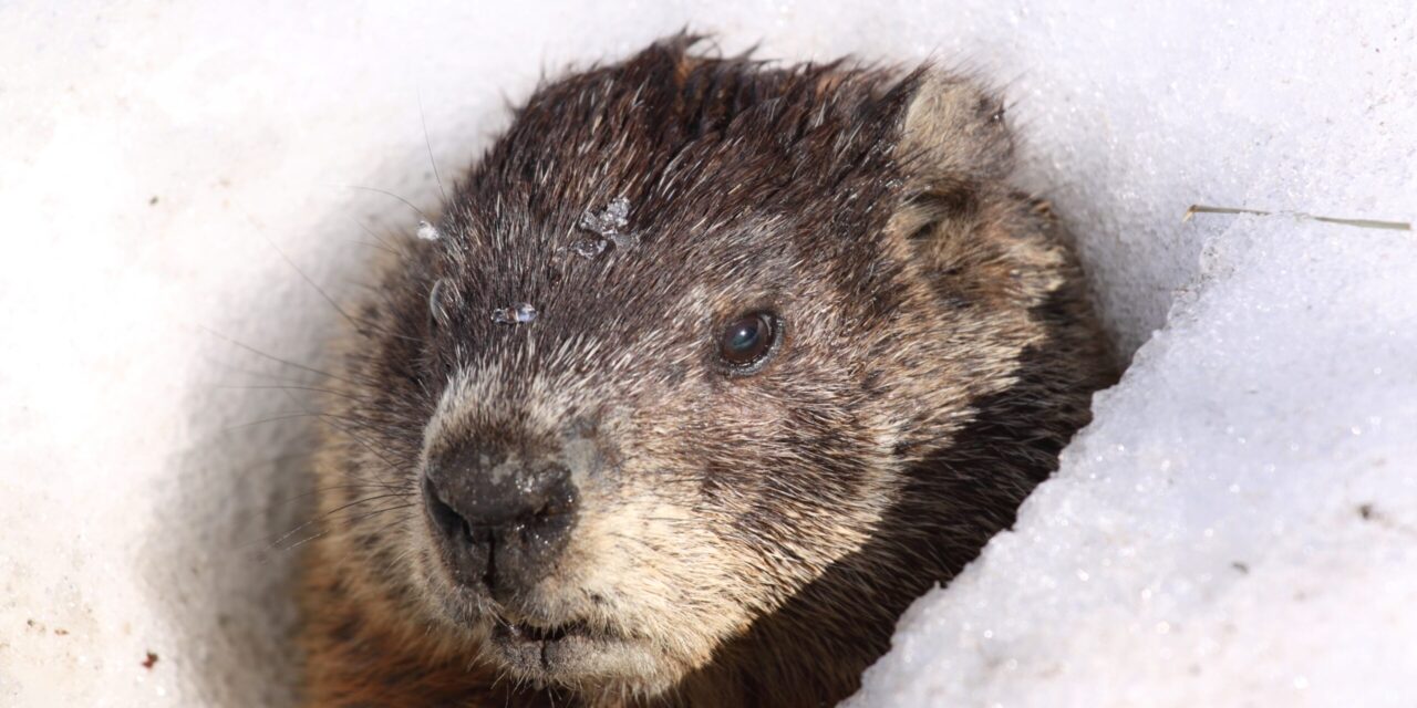 Teacher stuck in “Groundhog Day time loop”