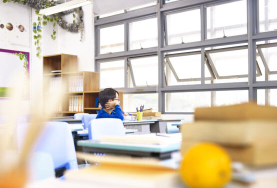 Race, power, and minority parent participation