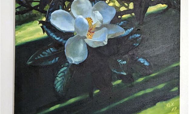Magnolia