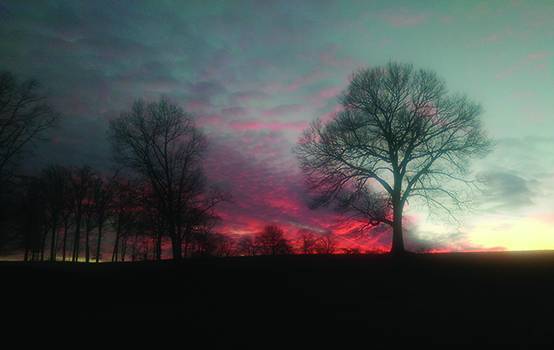 Finding good schools in a land of plenty 