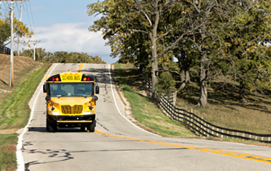 Learning from our elders