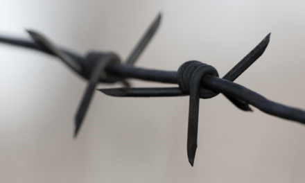 A lesson in civility: The negativity immigrant students hear 