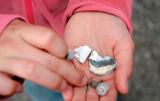 Making sense of student agency in the early grades 