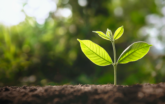 Partnering for innovation and growth: Shaun Nelms