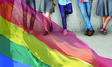 LGBTQ+ visibility in the K-12 curriculum 