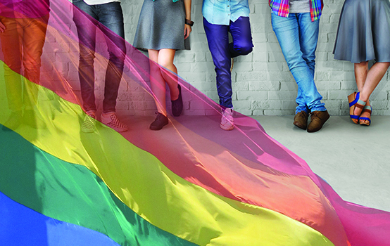 LGBTQ+ visibility in the K-12 curriculum 