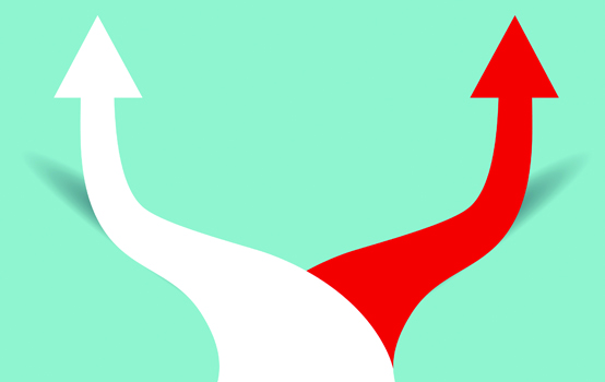 Tensions in teacher choice and professional development 