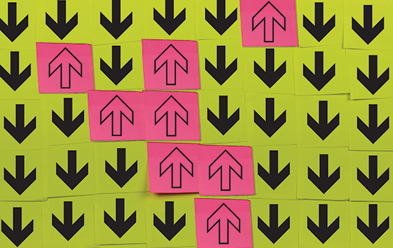 Segregation and secession 