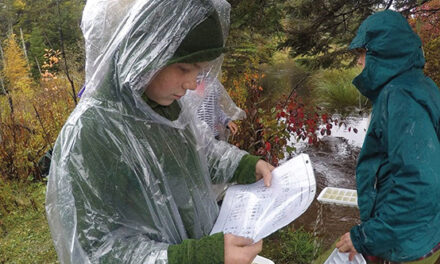 Student-empowered curricular change 