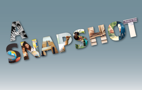 How teachers view their own professional status: A snapshot