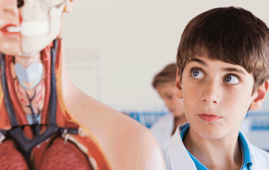 To live and breathe anatomy