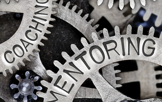 Who are the real experts in your school system? 