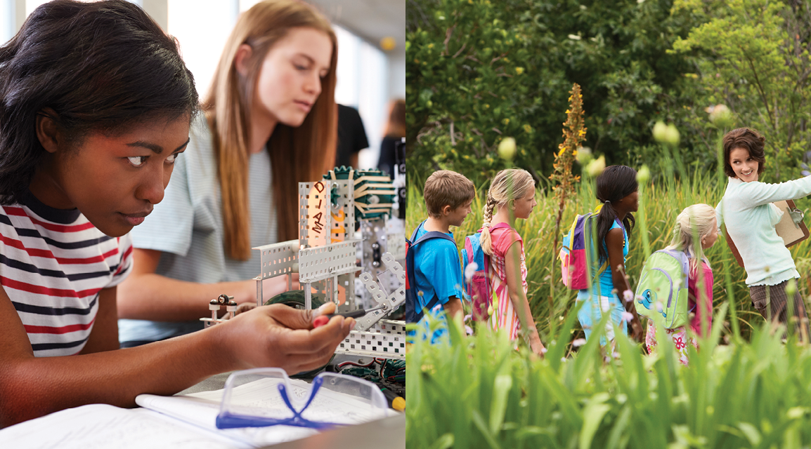 Science standards: The authors respond 