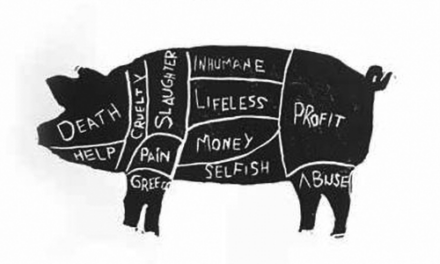 True butcher’s guide