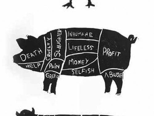 True butcher’s guide