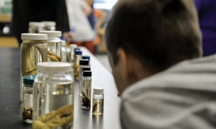 Nurturing STEM talent in rural settings