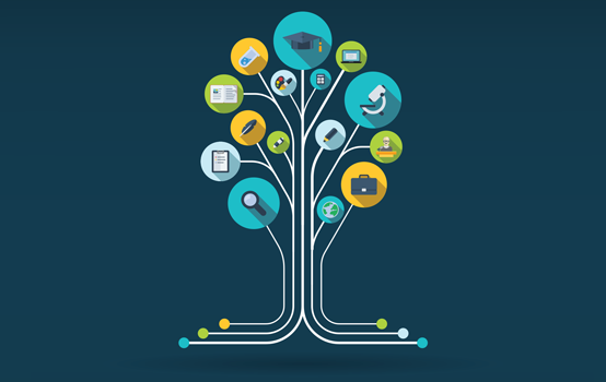 How educational intermediaries connect research and practice