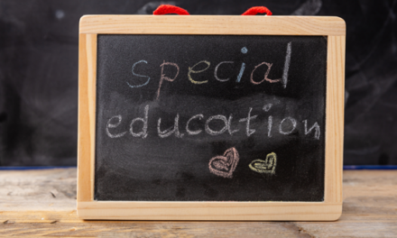 Big questions about special education