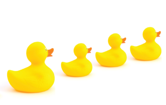 A lesson in motion stays in motion: If students lead, will teachers follow?