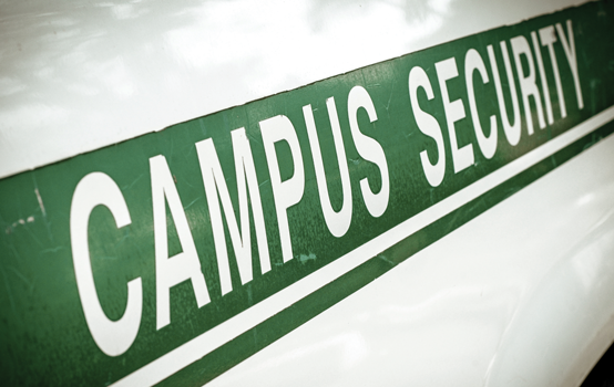 The policy of school policing