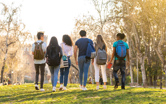 What should students learn?