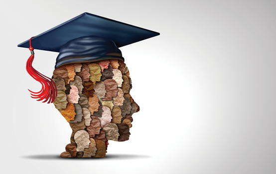 The legal fight to preserve public education — and democracy