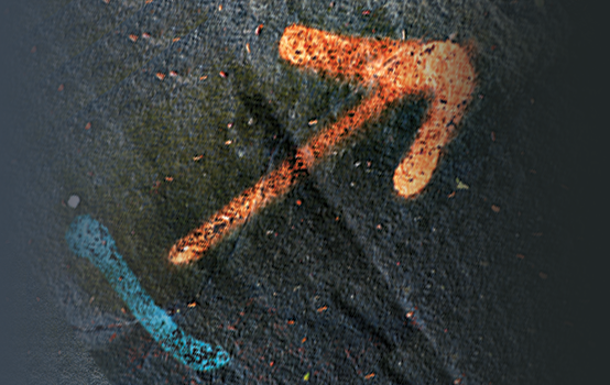 How can schools develop self-directed learners? 