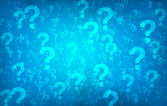 Wondering + online inquiry = learning