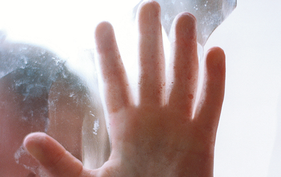 Connecting the immigrant experience through literature