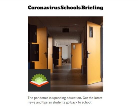 Bright spots in education journalism (2020)