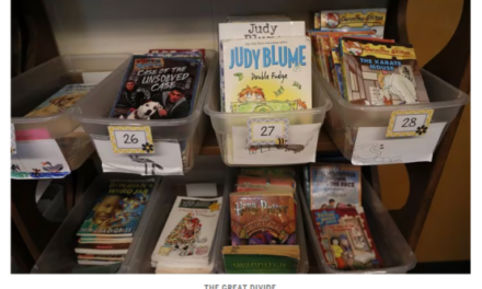 Secrets of a successful literacy investigation