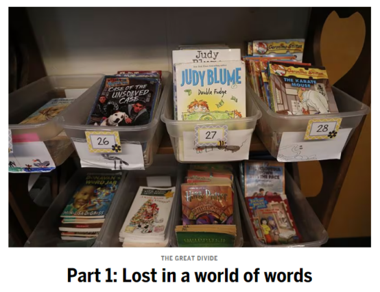 Secrets of a successful literacy investigation