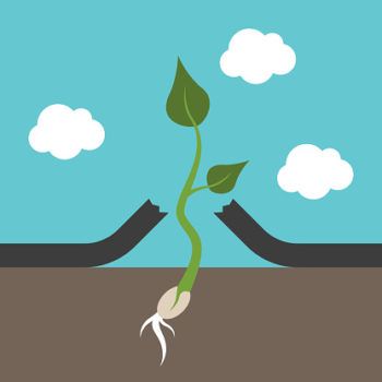 Stepping up to the profession