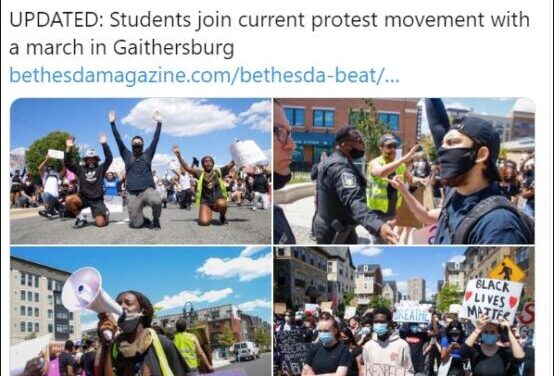 ‘Report what you know.’ 4 key takeaways for education journalists covering police violence protests