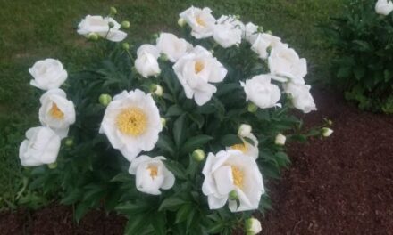 Roundup: Outlet-based features and profiles