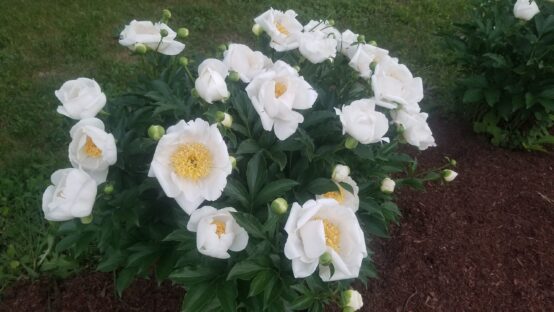 Roundup: Outlet-based features and profiles