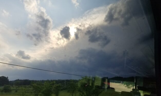 The 6 most-read columns of 2018 (so far) – plus a bonus recommendation