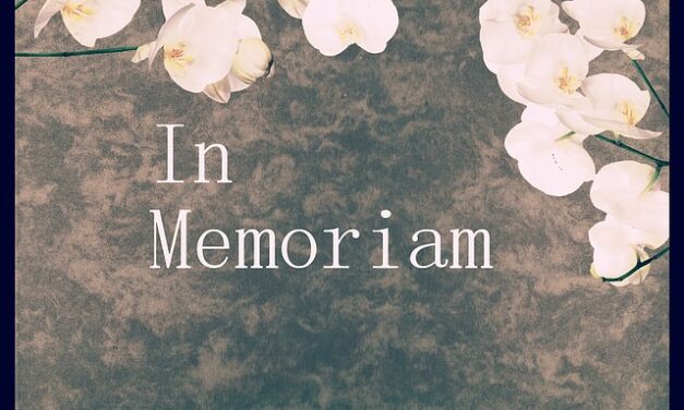 A tribute to David Tyack