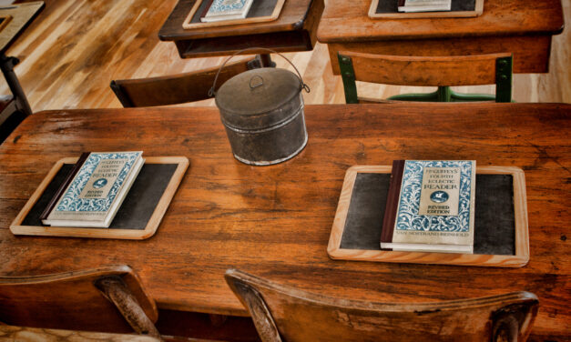 Education as a function of the state