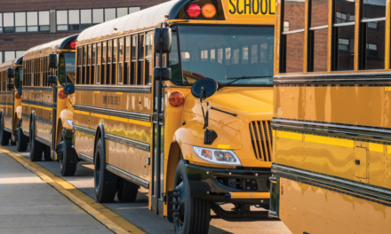 Browsing: Public perception of schools