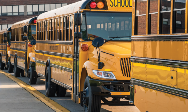 Browsing: Public perception of schools